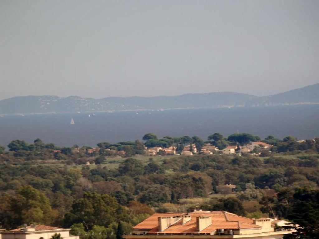 183 HYERES ET SES PALMIERS D13_000049.jpg